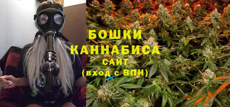 Бошки марихуана THC 21%  как найти закладки  Новосиль 